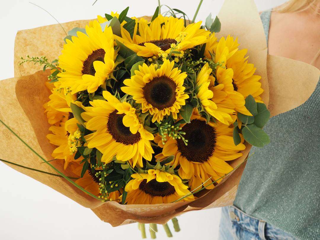 Envío de girasoles - originalflor.es