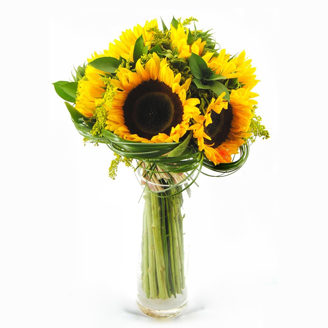 Mandar girasoles - originalflor.es