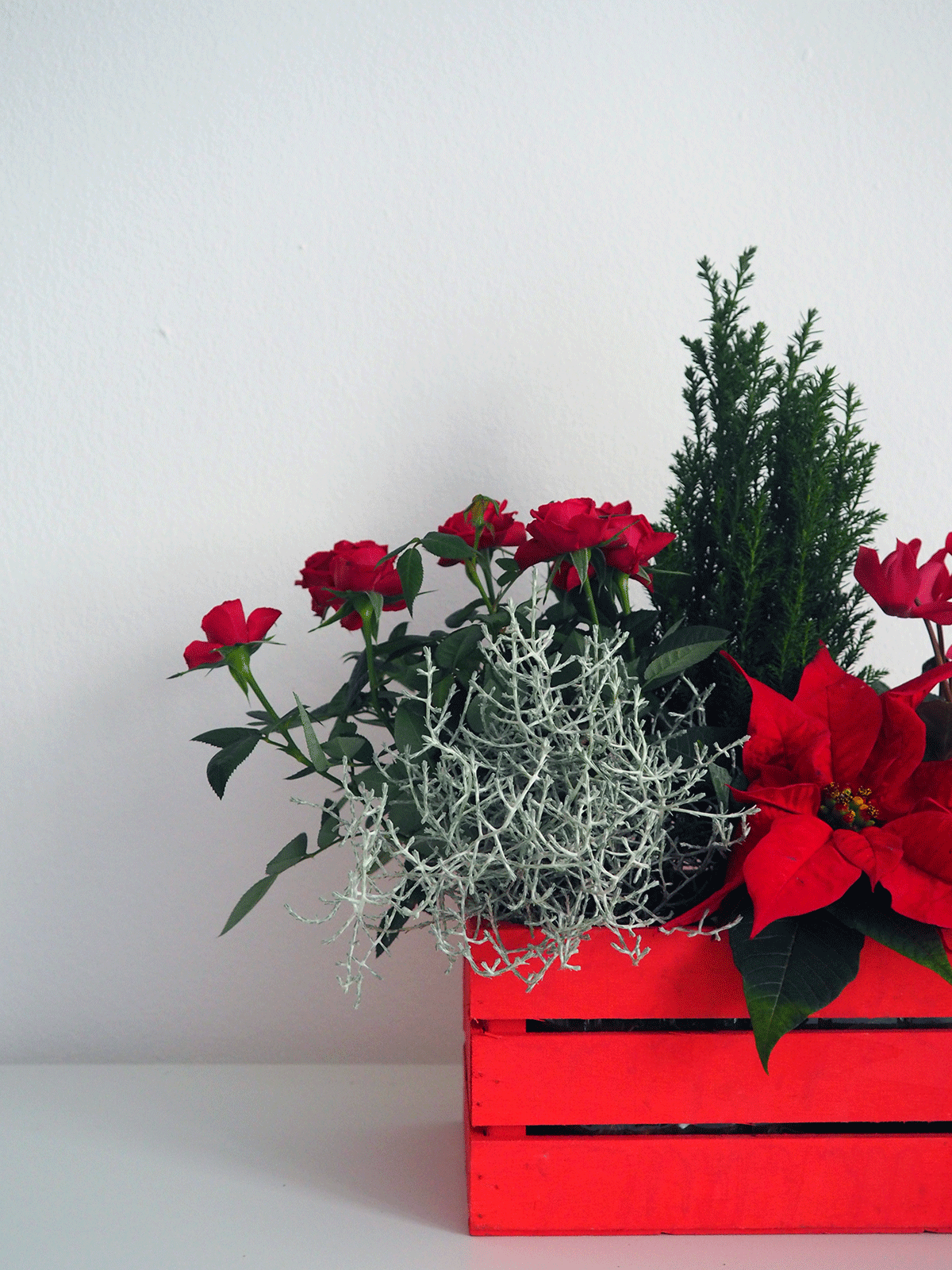 Composición Navideña