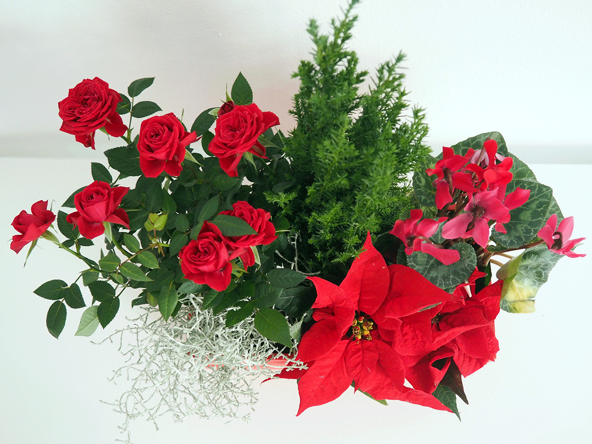 Composición Navideña