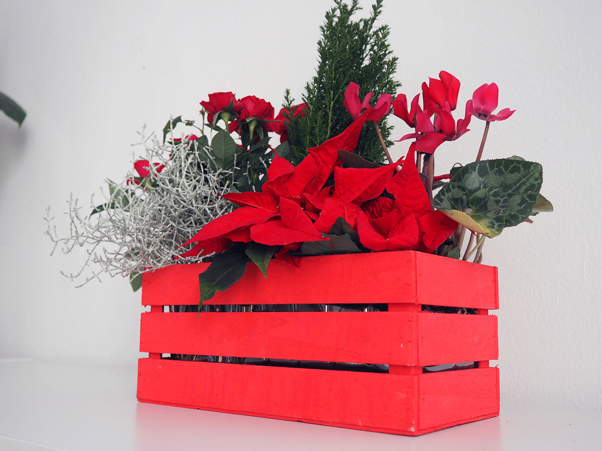 Flores originales para navidad