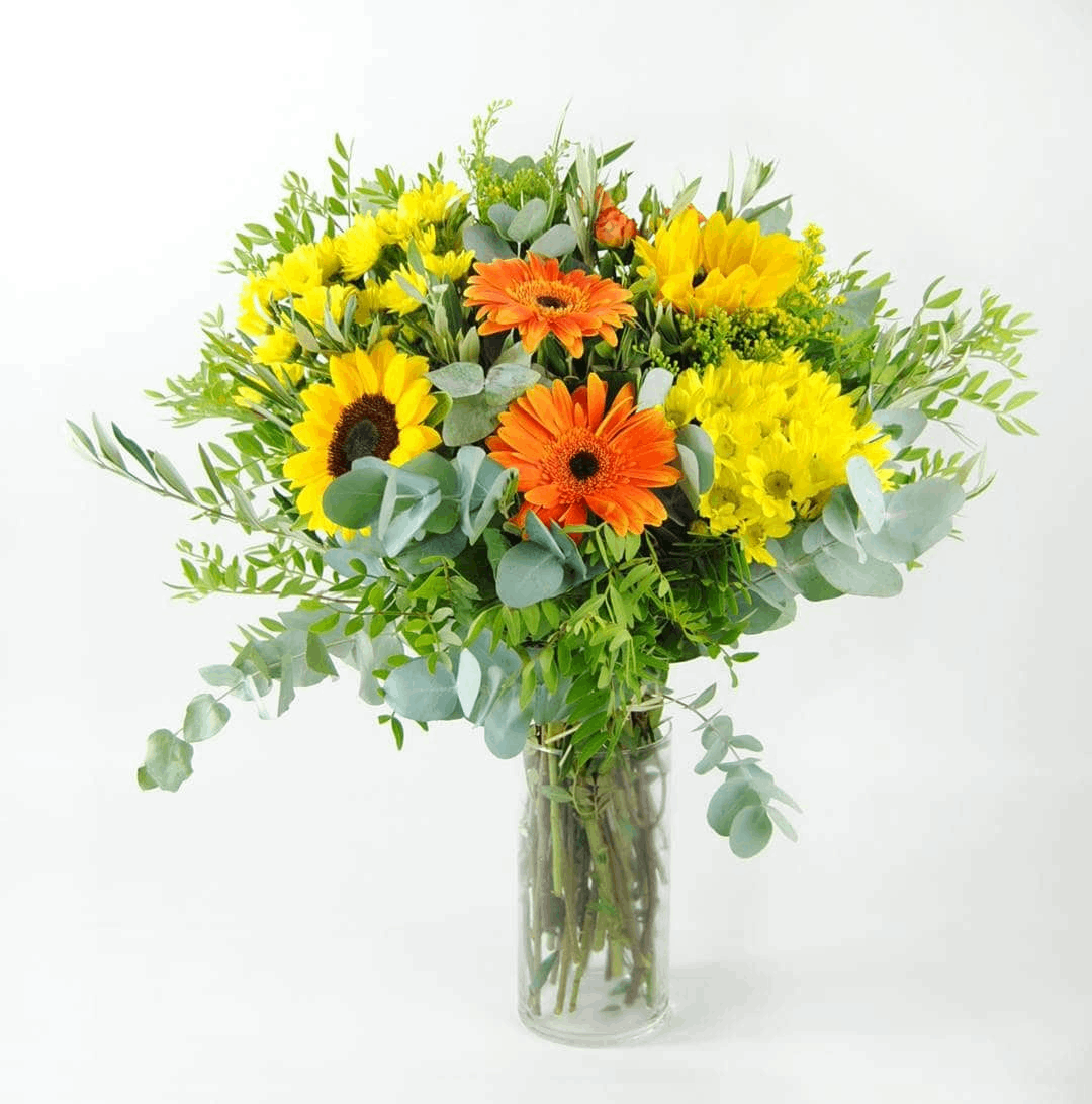 Regalar girasoles gerberas margaritas