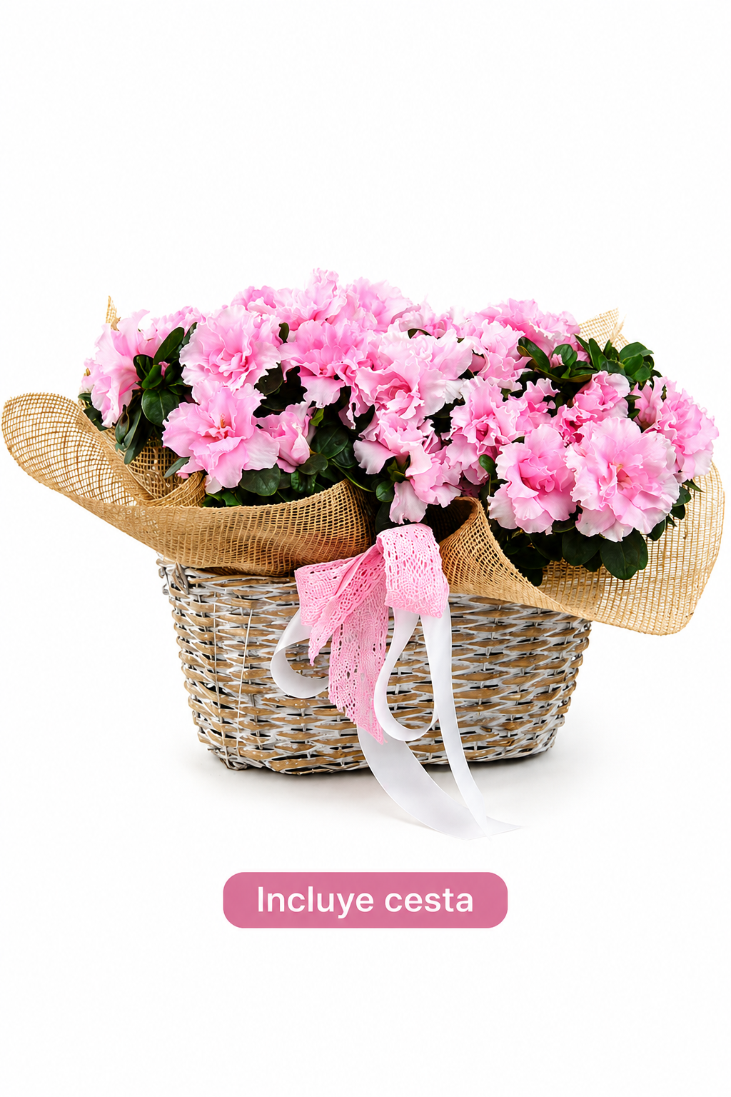 Azaleas en cesta