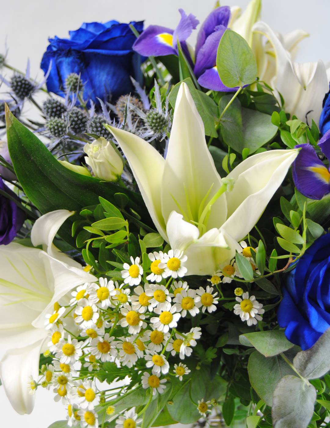 Ramo de Lirios y iris