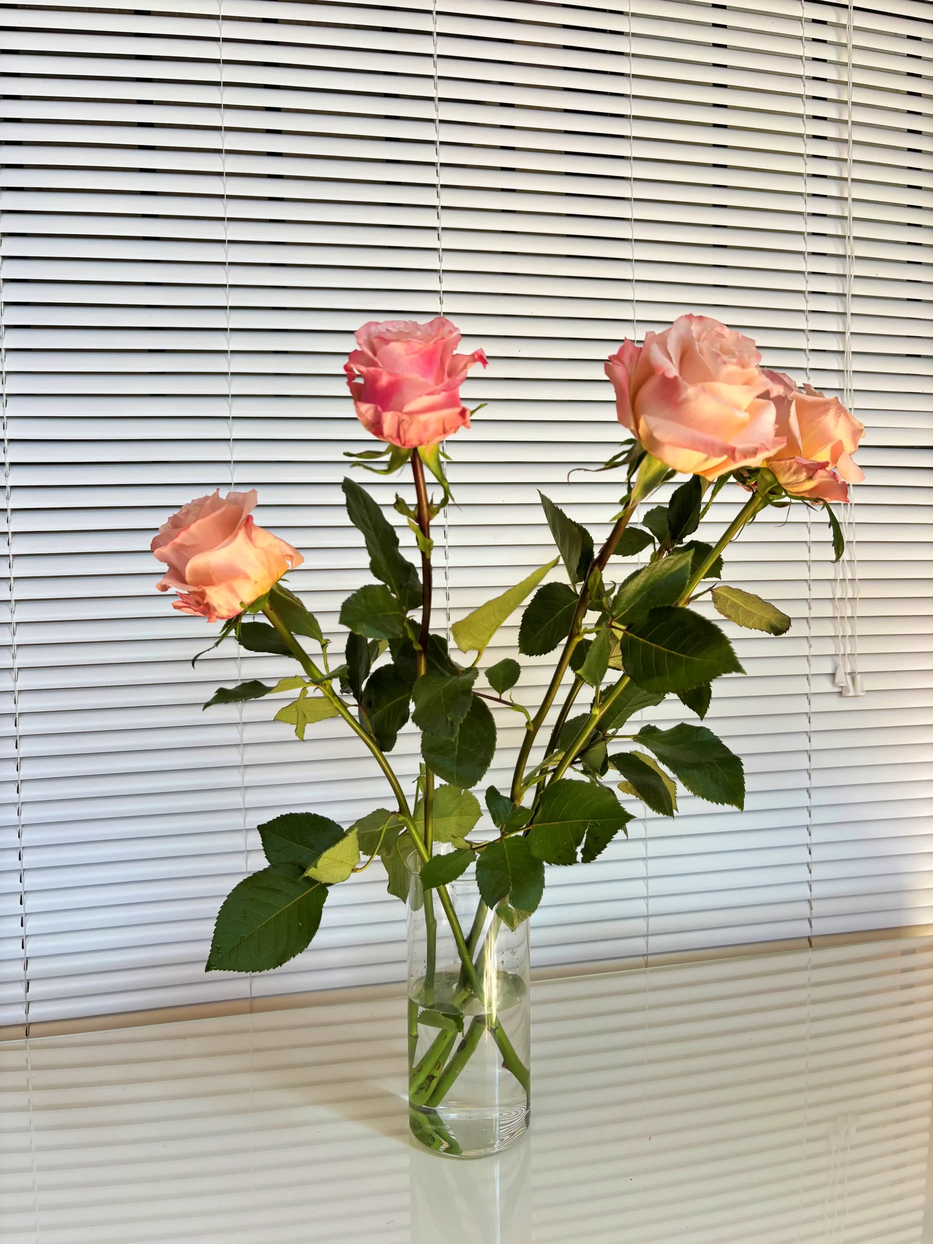 Decorar con Rosas rosa frescas