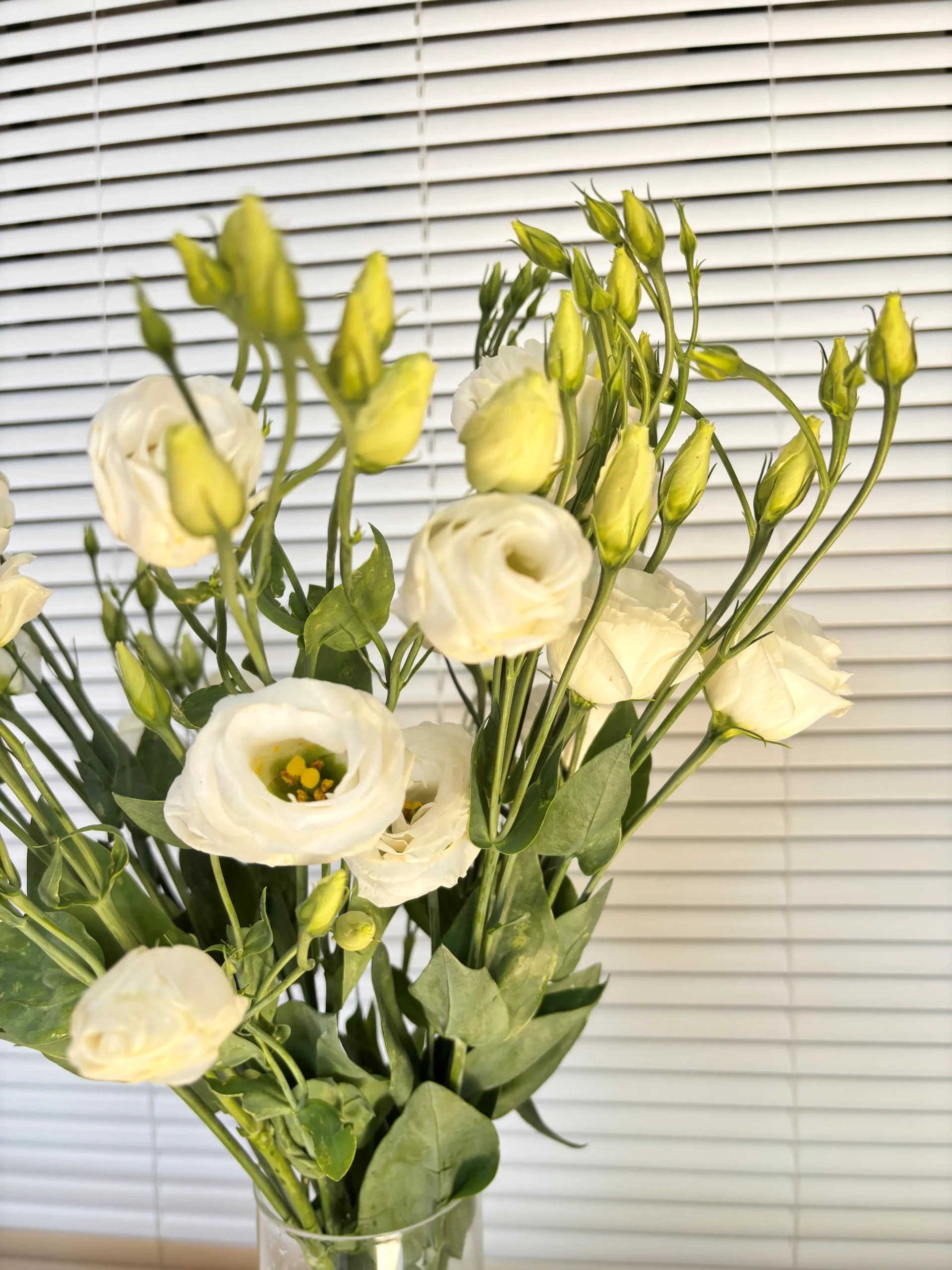 Lisiantums blanco para decorar