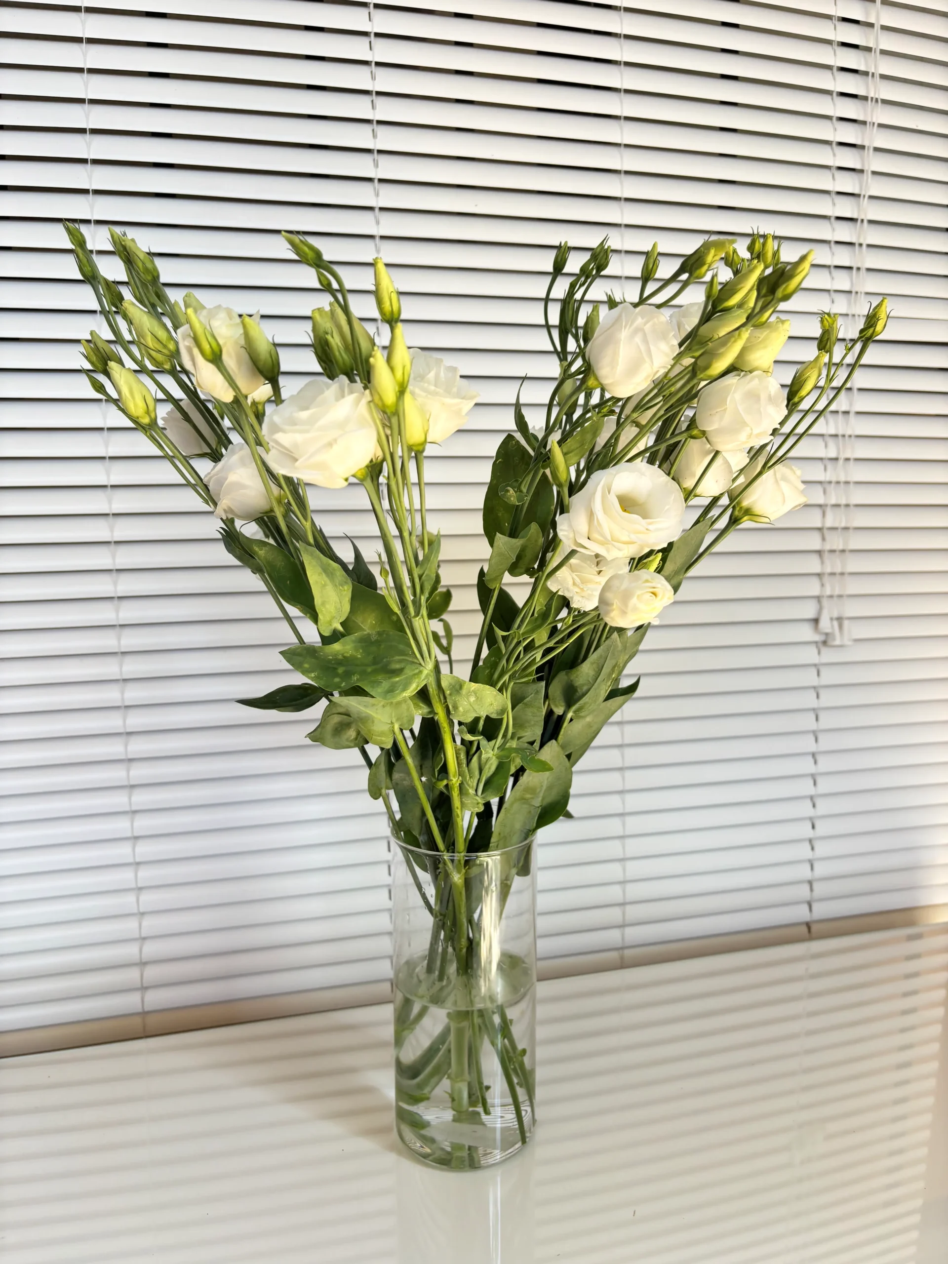 Lisiantums blancos frescos