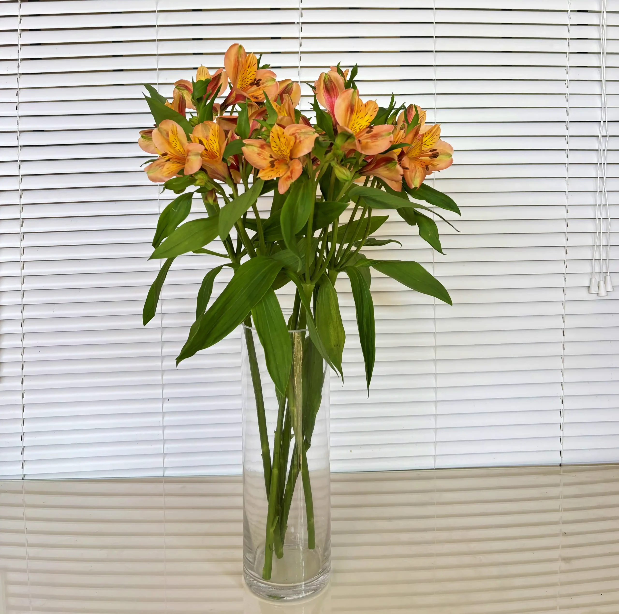 Alstroemeria naranja