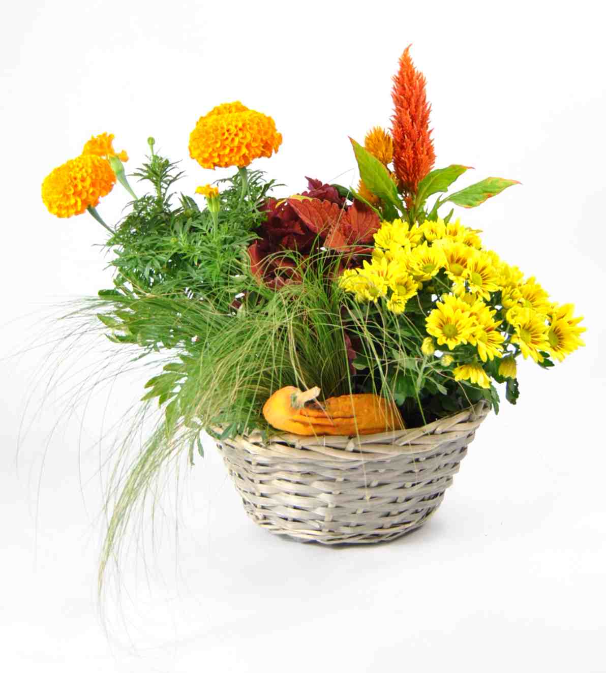 Cesta Otoñal con Calabaza