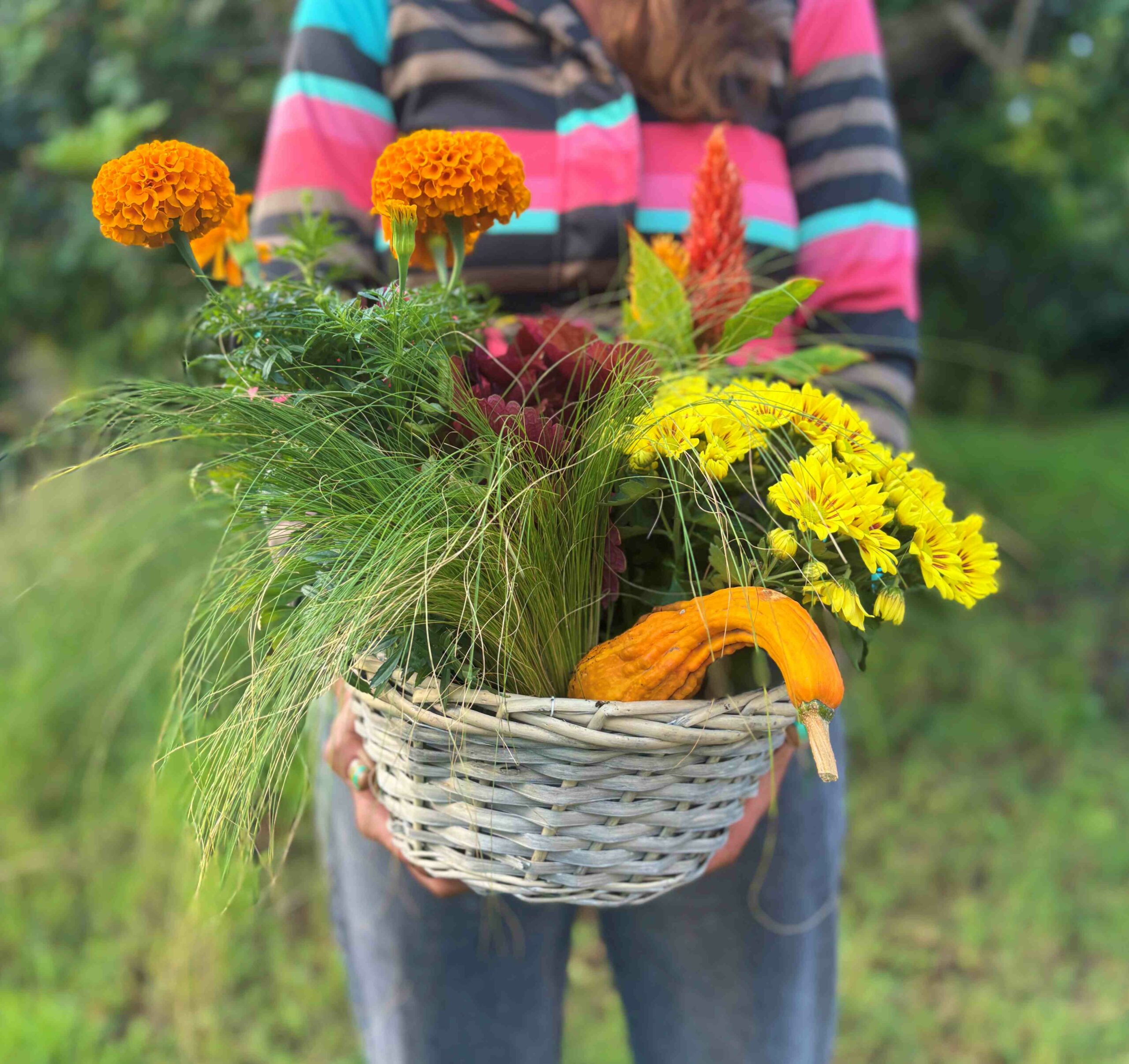 Cesta Otoñal con Calabaza