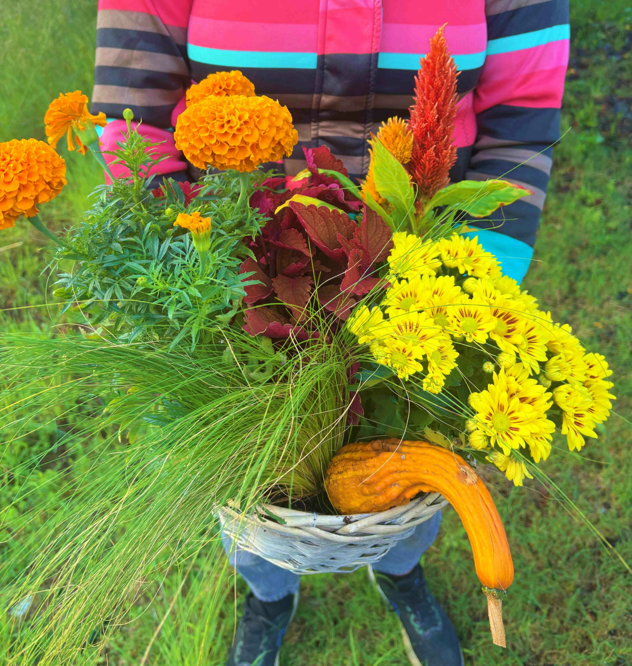 Cesta Otoñal con Calabaza
