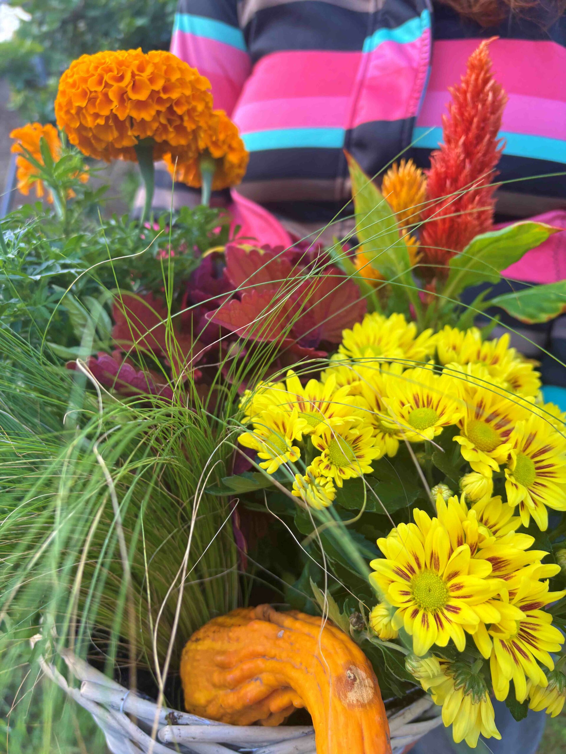 Cesta Otoñal con Calabaza