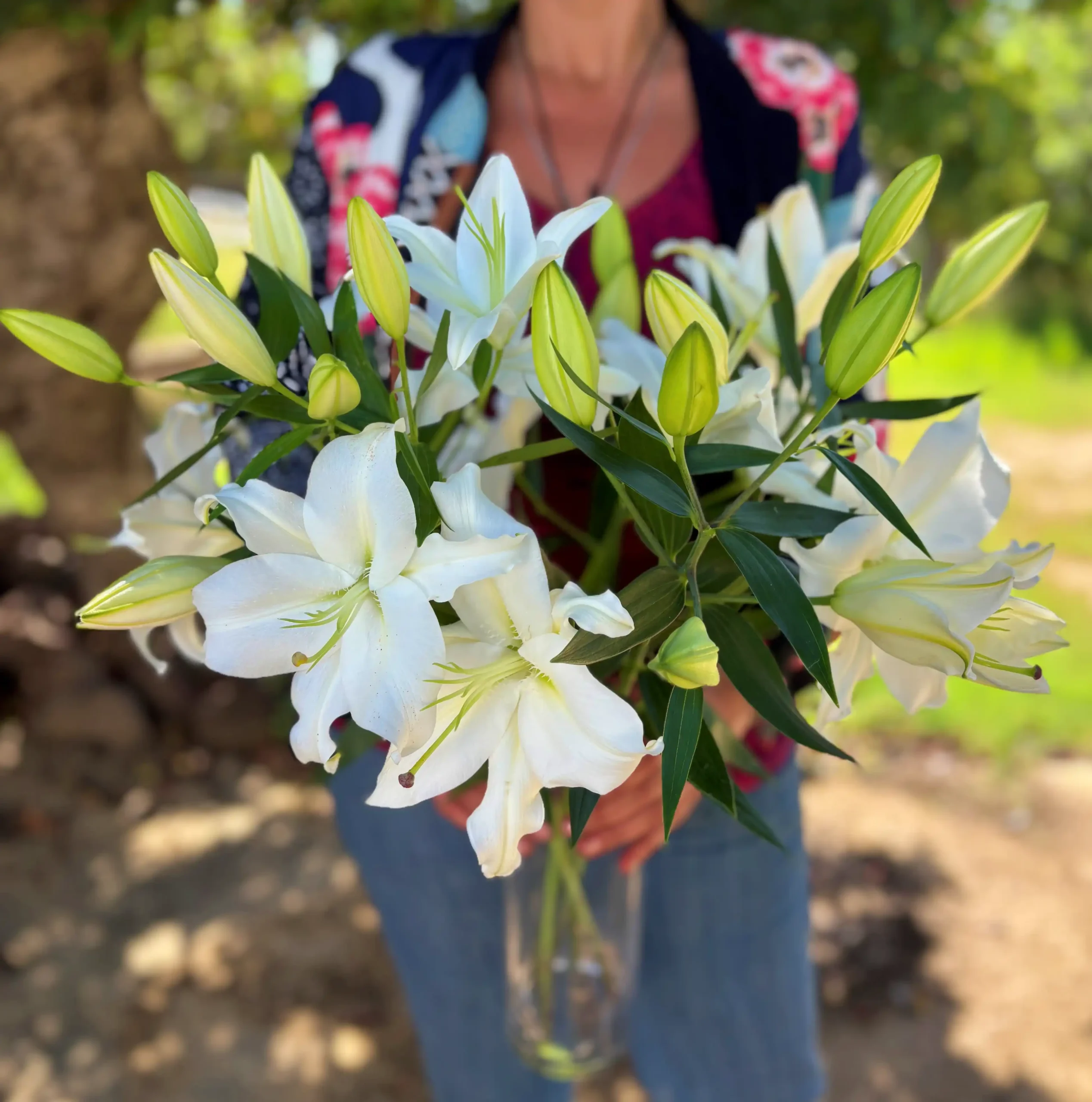 Lirios blancos perfumados