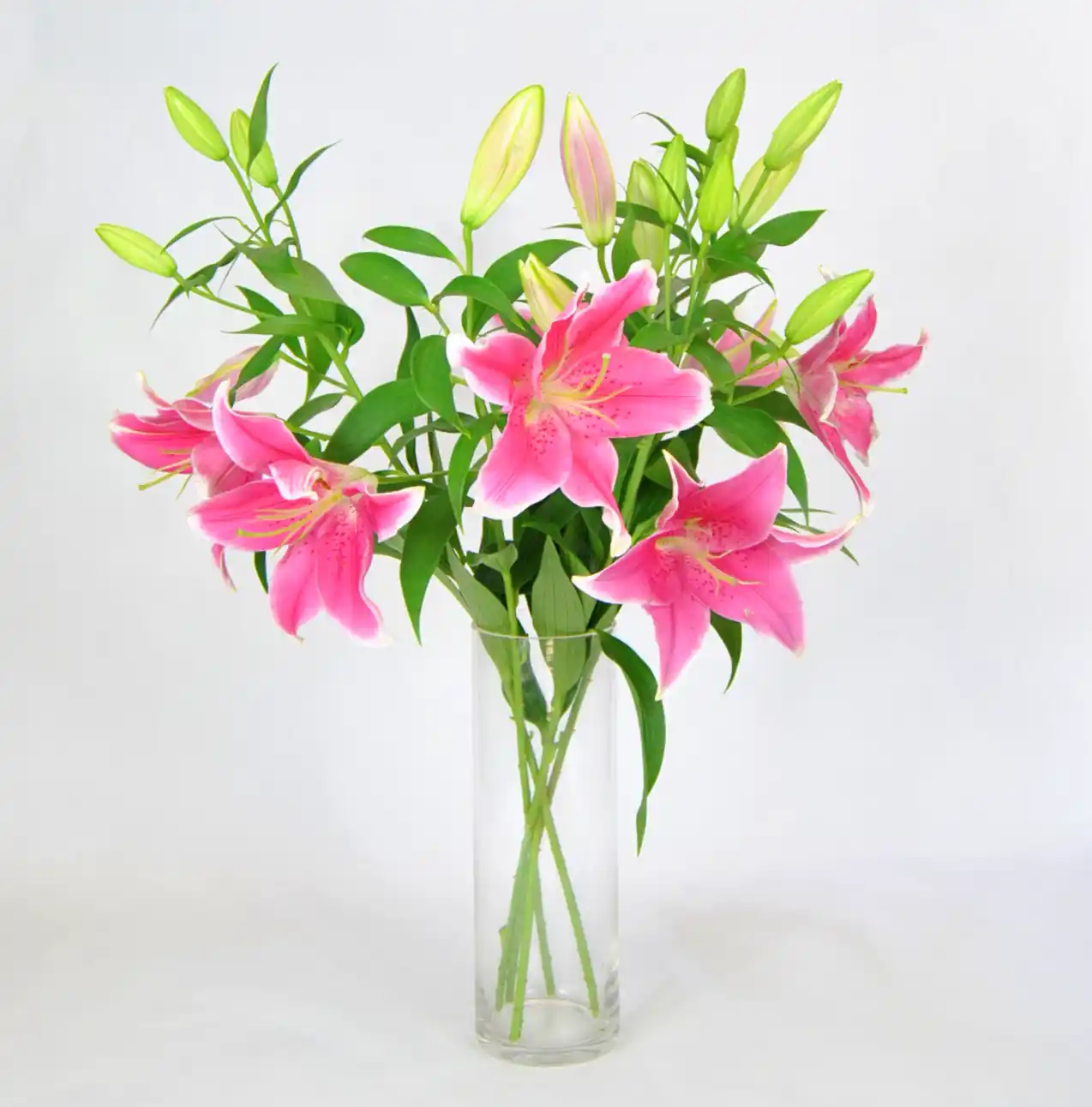 Lirios rosas perfumados