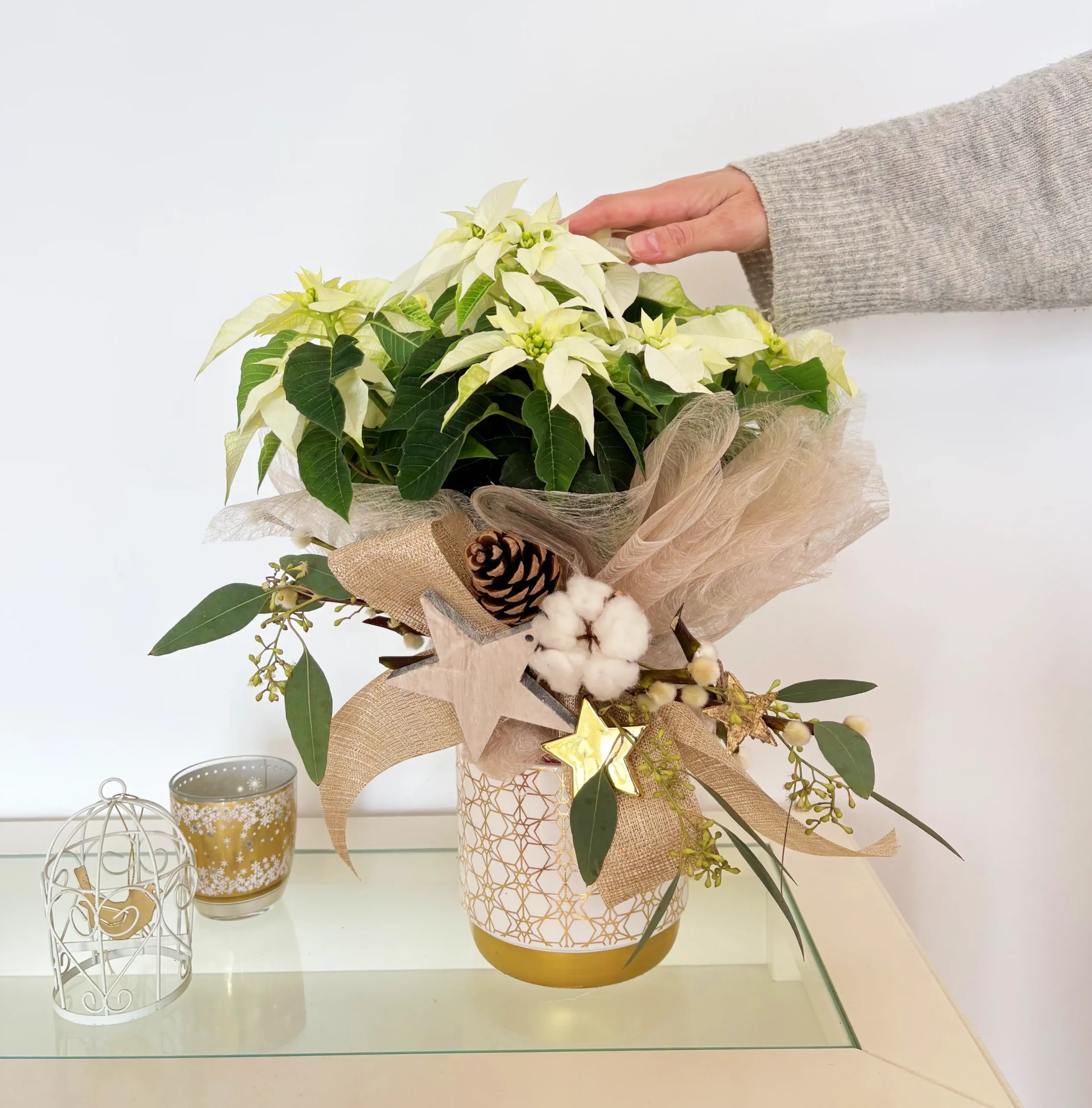 Poinsettia Blanca Copo de Nieve