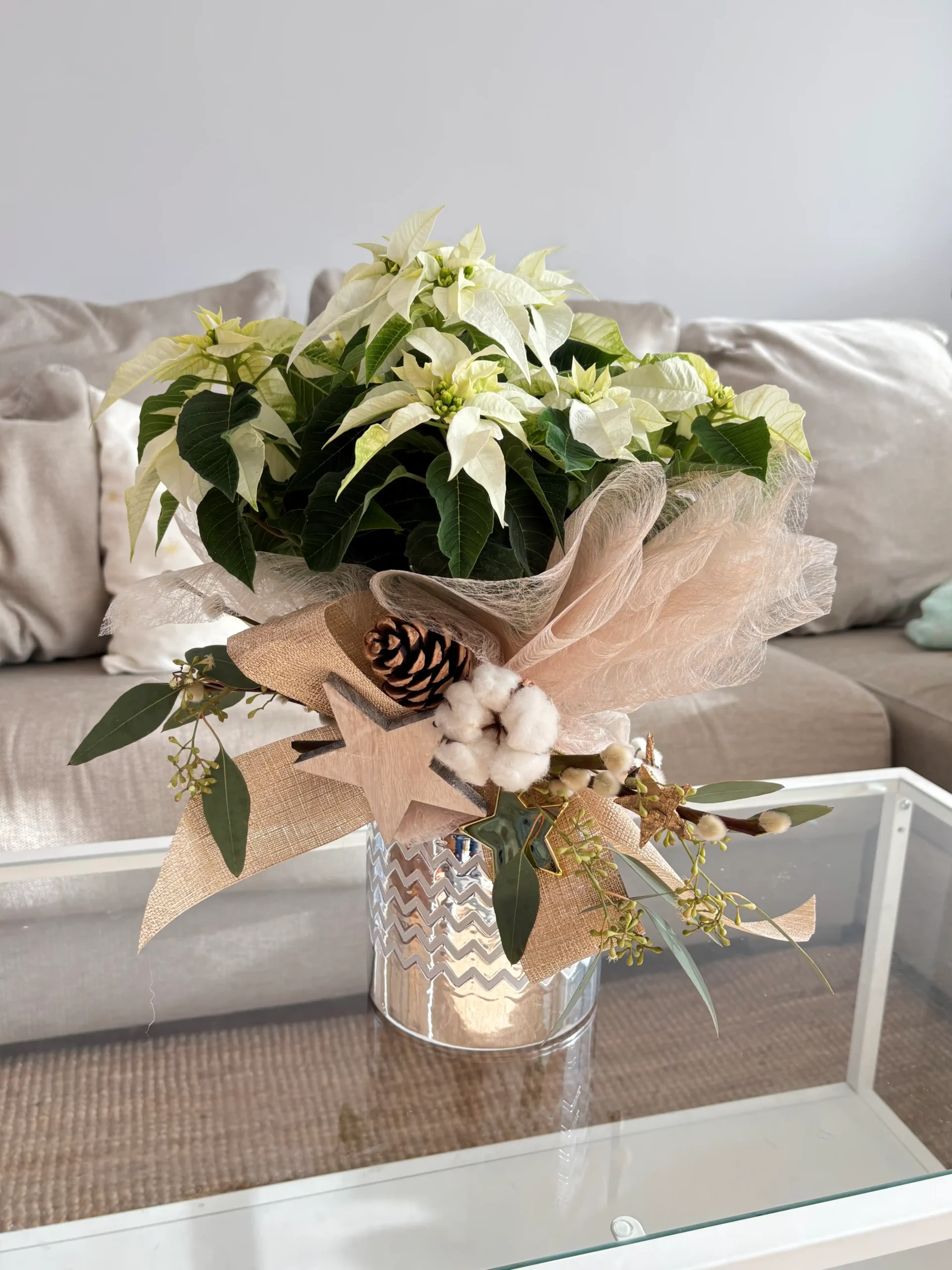 Poinsettia Blanca silver