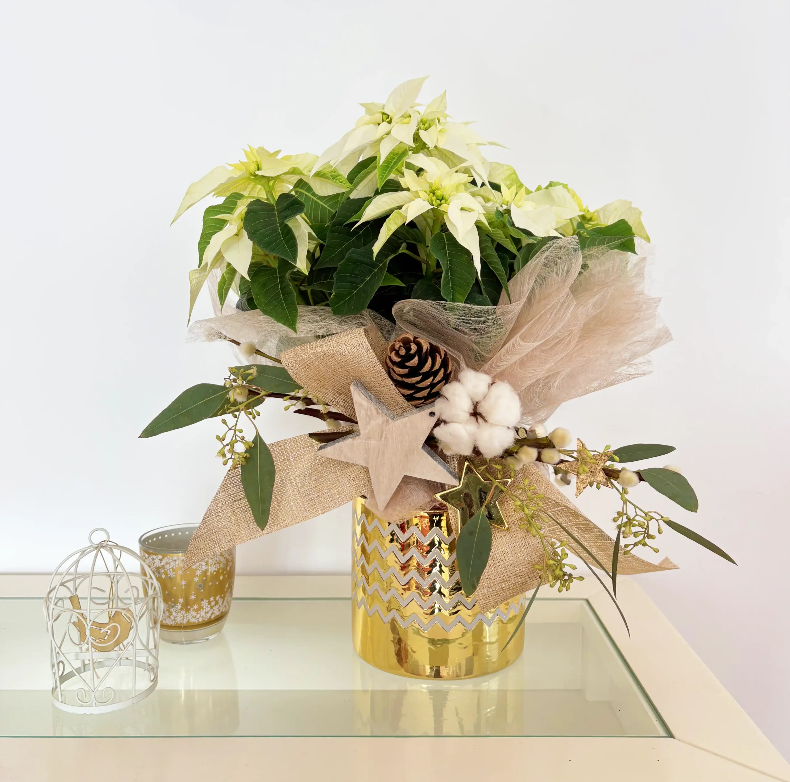 Poinsettia Blanca Gold