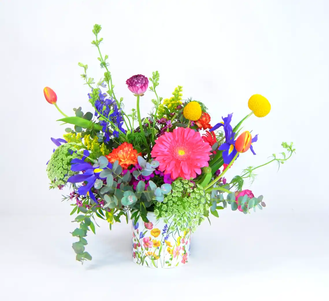 Wild Spring