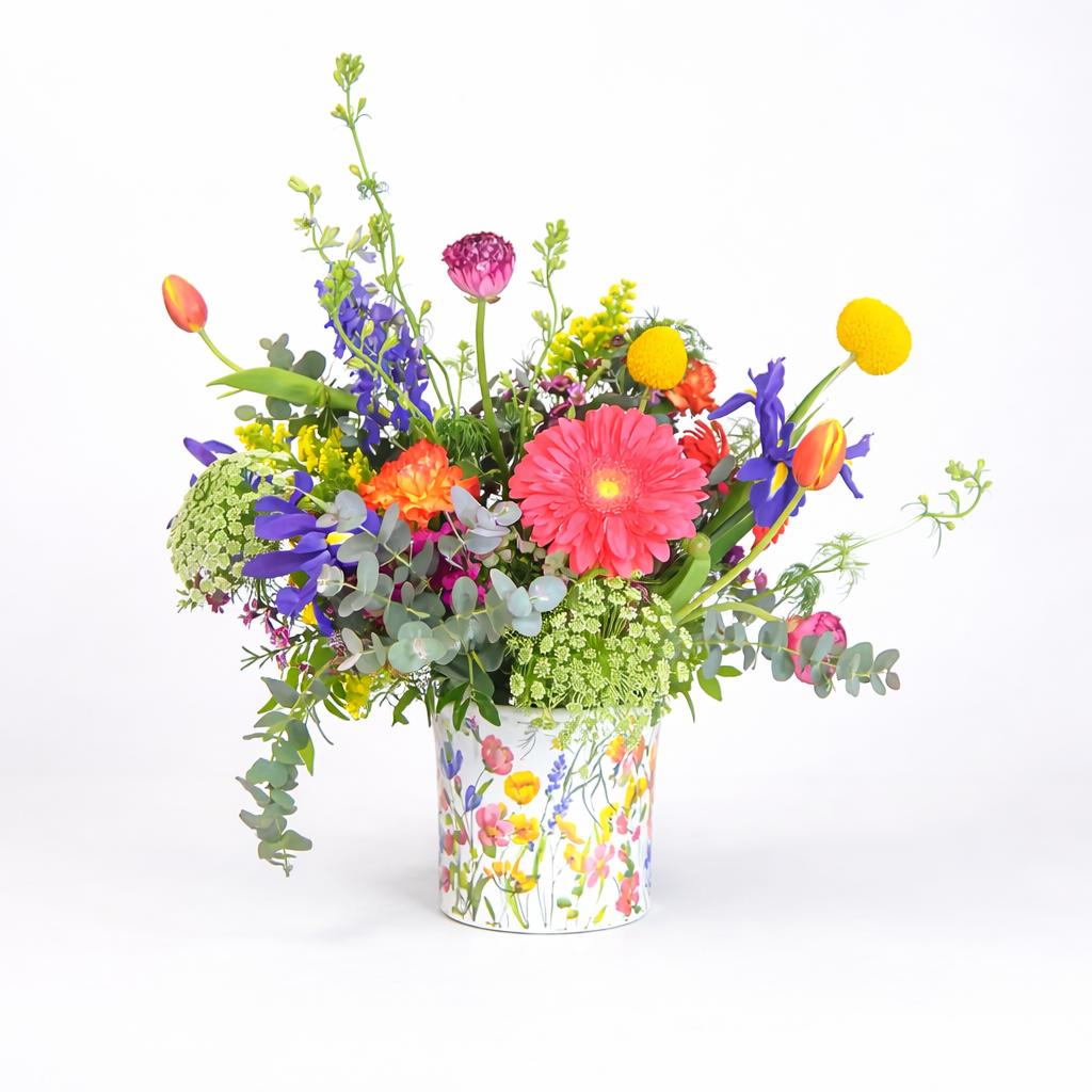 Wild Spring