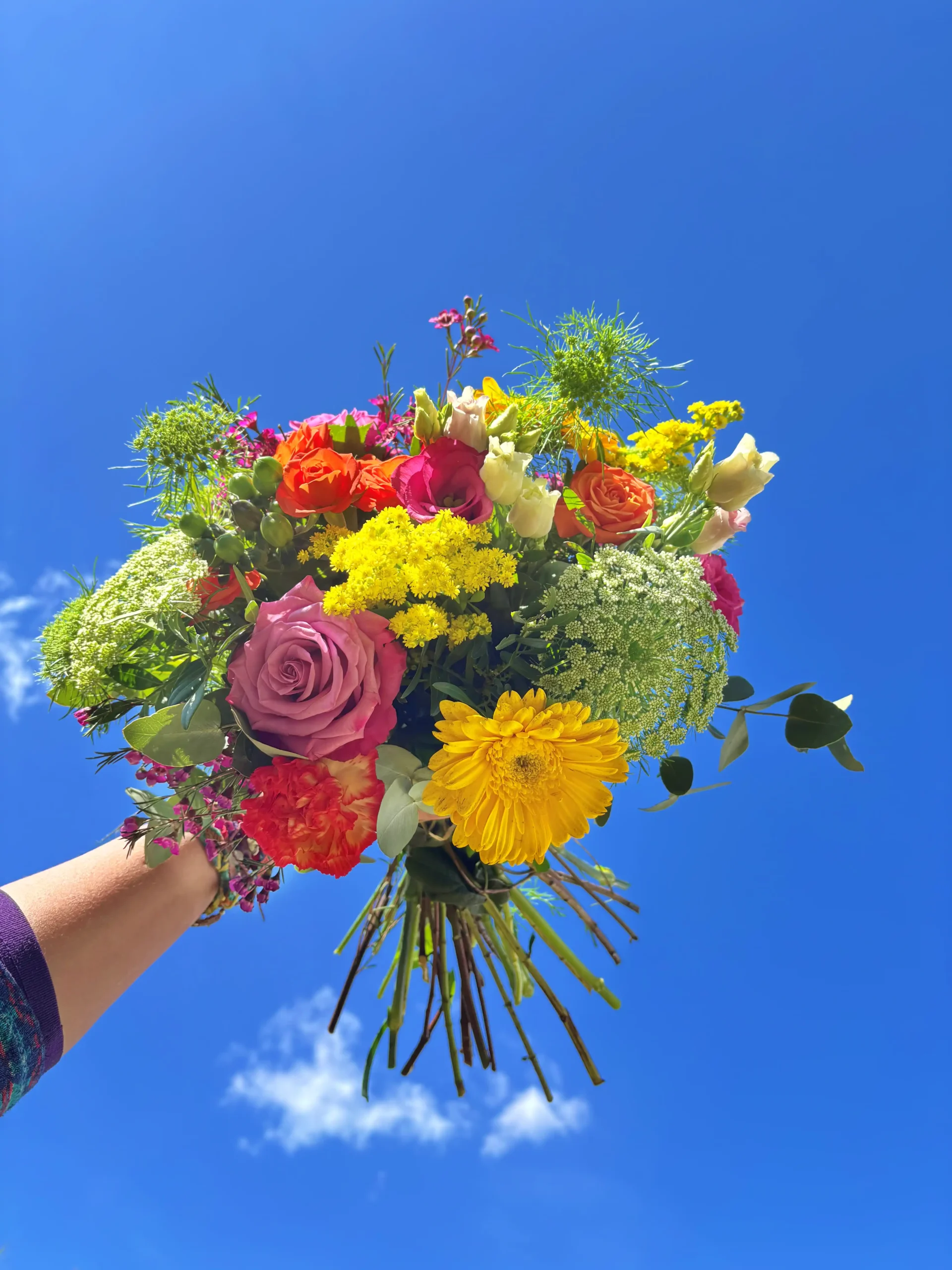 Spring Love