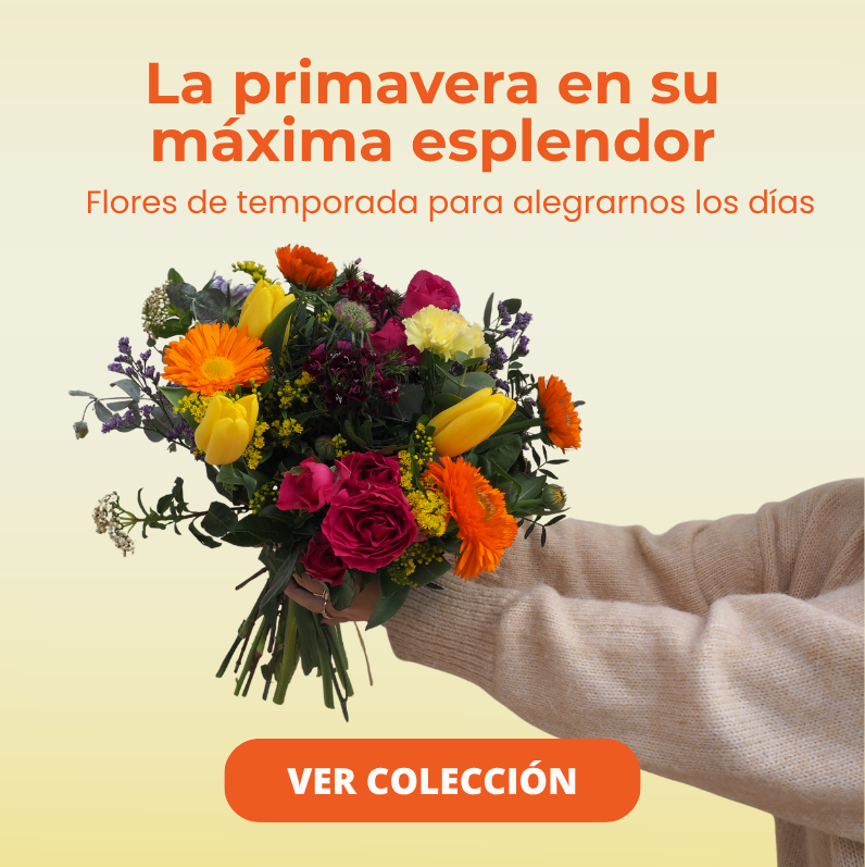 Flores de primavera - Envío a domicilio