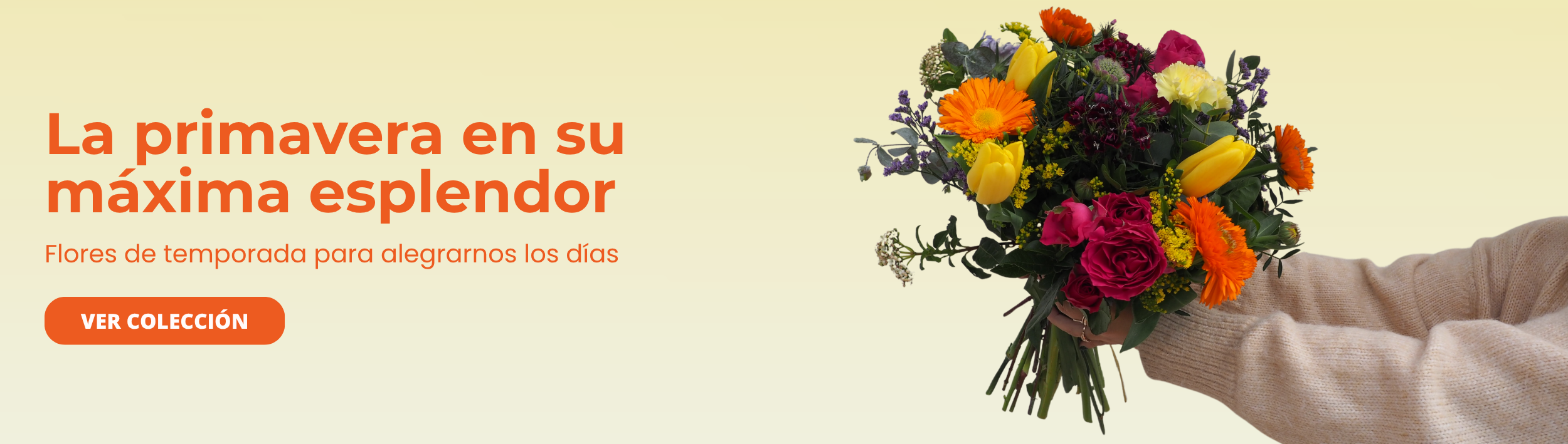Flores de primavera - Envío a domicilio