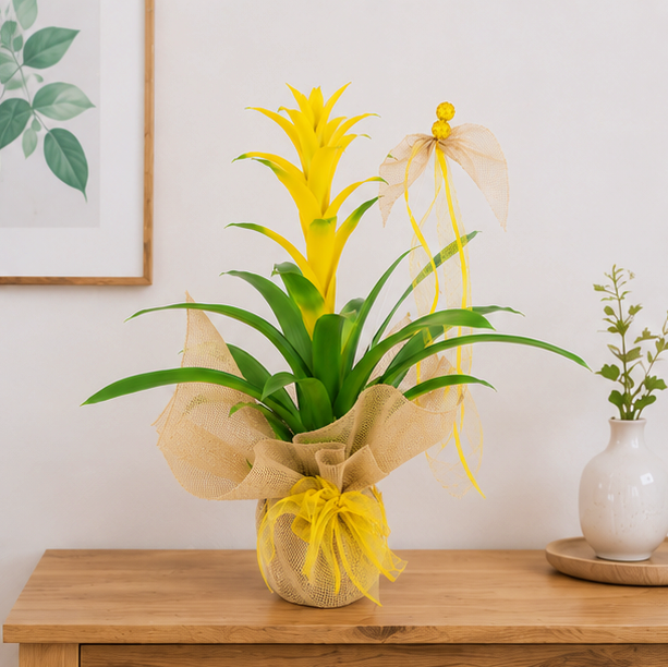 Bromelia amarilla