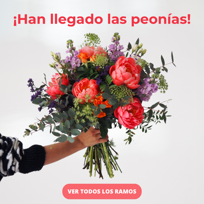 Ramos de Peonías a domicilio