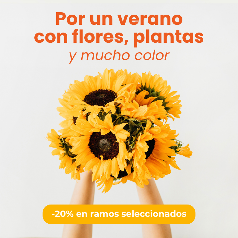 envío de ramos de flores a domicilio - Original Flor