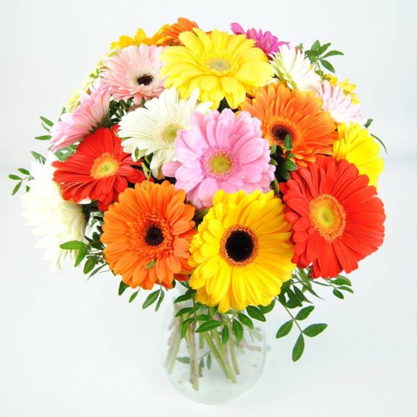 Gerberas - Ramo de gerberas - Originalflor.es