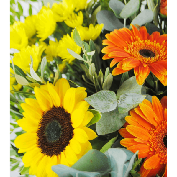 flores a domicilio - Margaritas gerberas girasoles