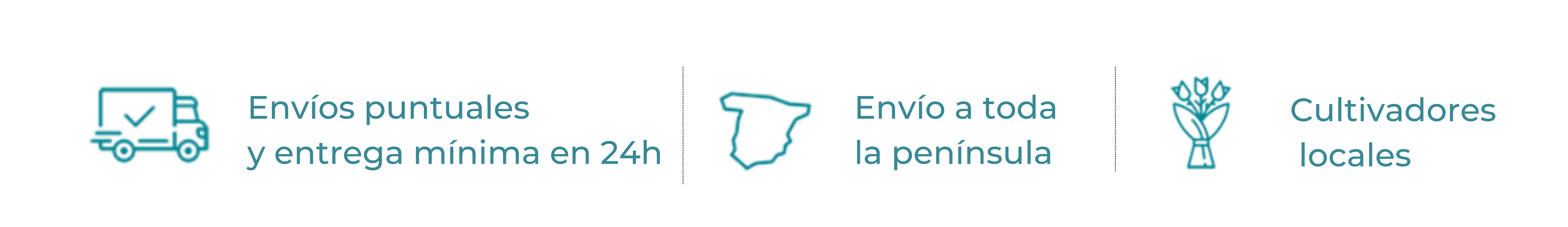 Comprar ramos de flores y plantas