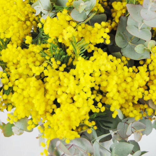 Bouquet de flores con mimosa y eucalipto