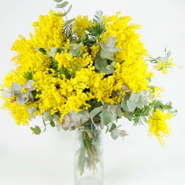 Ramo de flores con mimosa y eucalipto