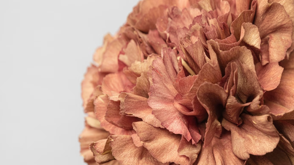 Cómo secar un ramo de flores