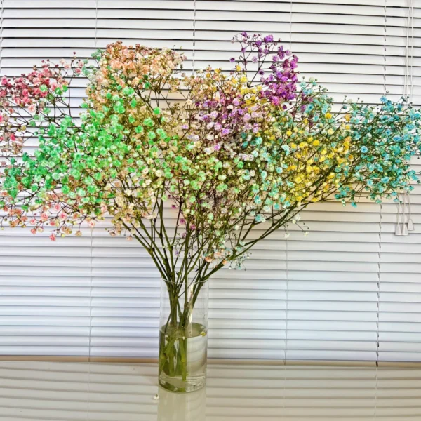 Decoración con Paniculata de colores