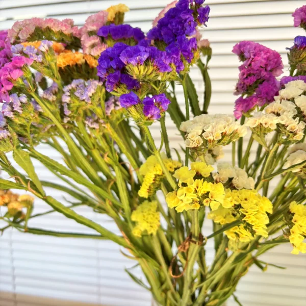 Estatice fresco para decoración