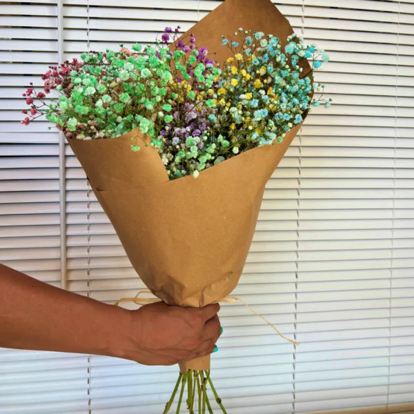 Paniculata de colores para decorar