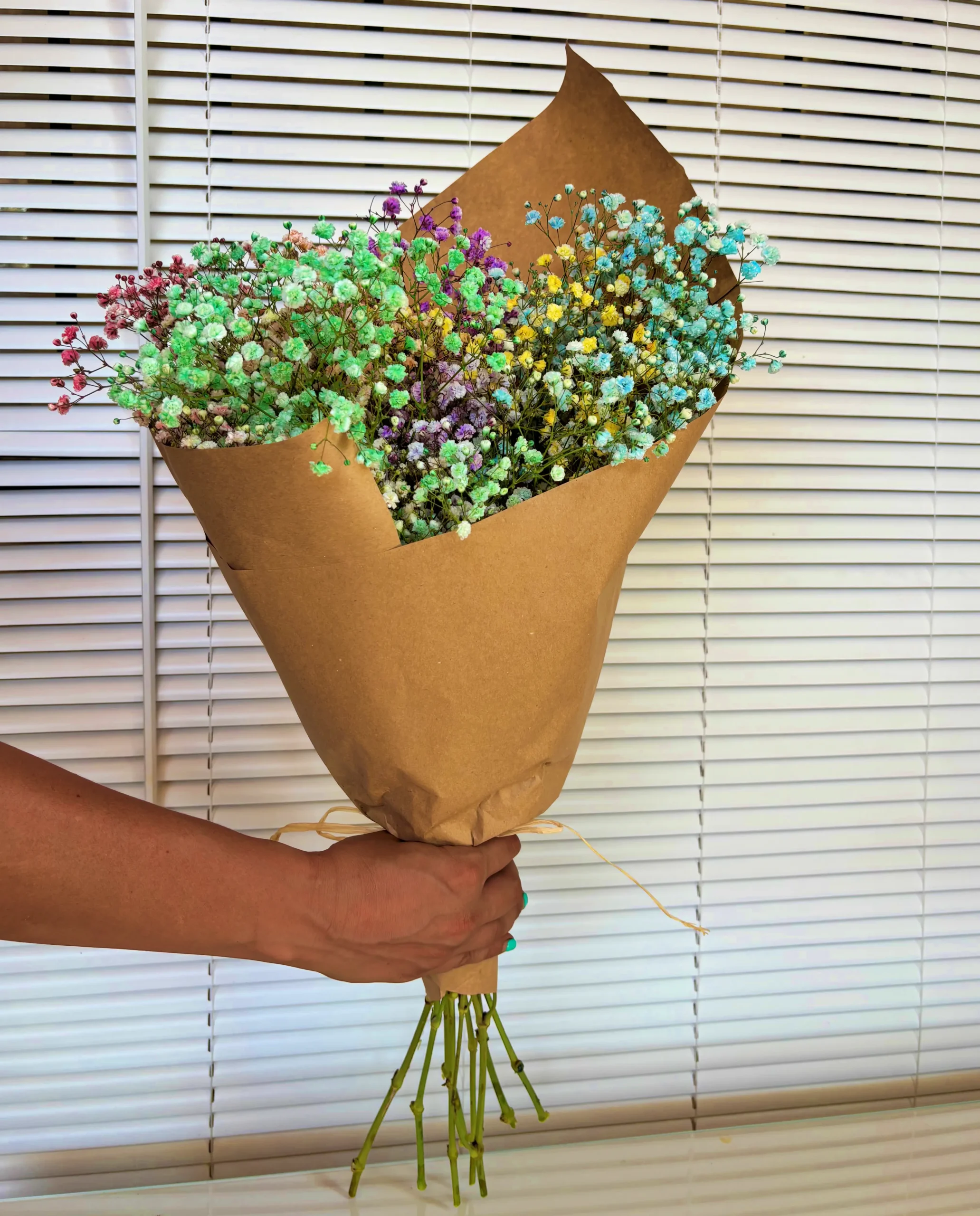 Paniculata de colores para decorar