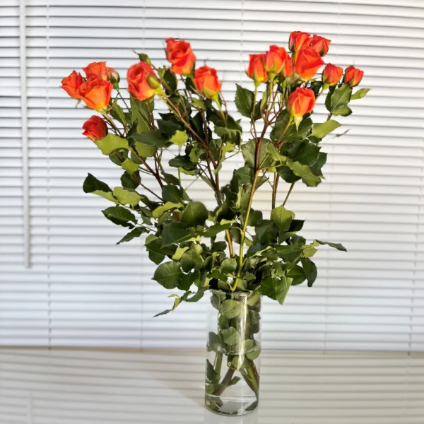 comprar Rosas Pitiminí naranjas