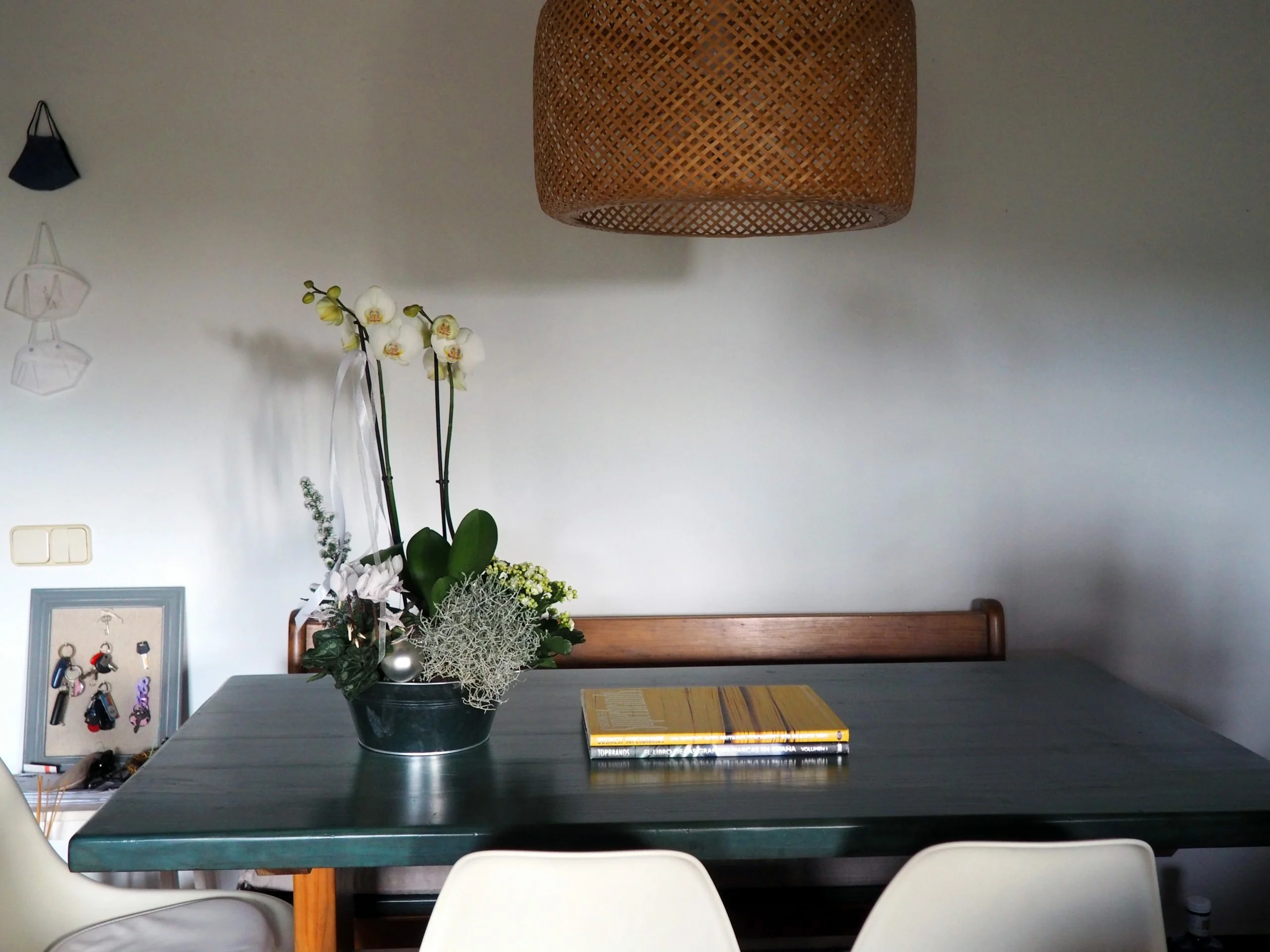 cuidado de las orquídeas