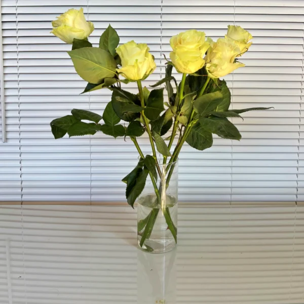 decorar con Rosas blancas frescas