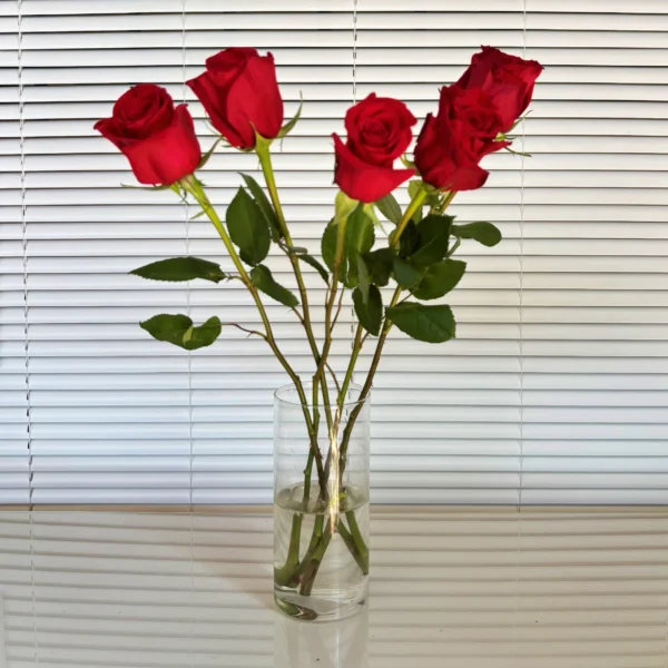 decorar con Rosas rojas frescas