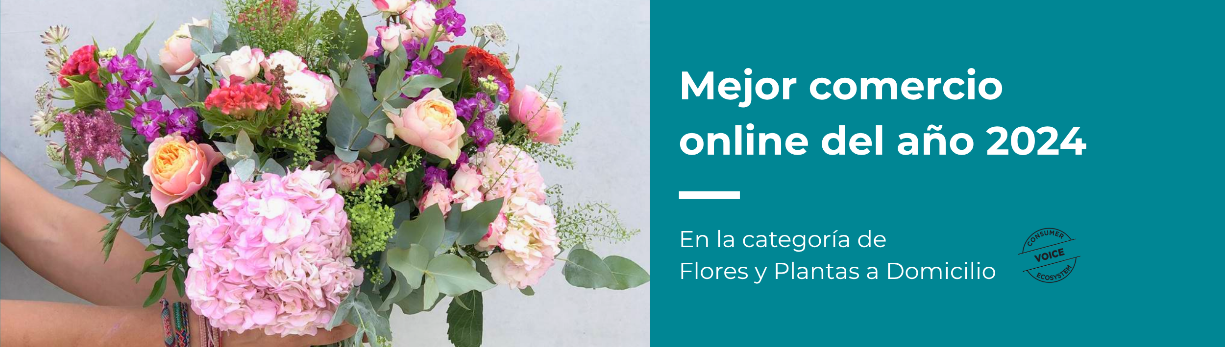mejor comercio online 2024