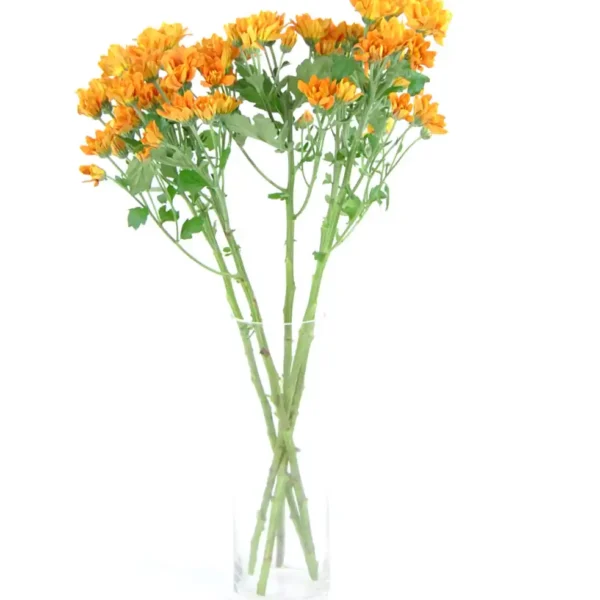 margarita-naranja-flores-para-decorar