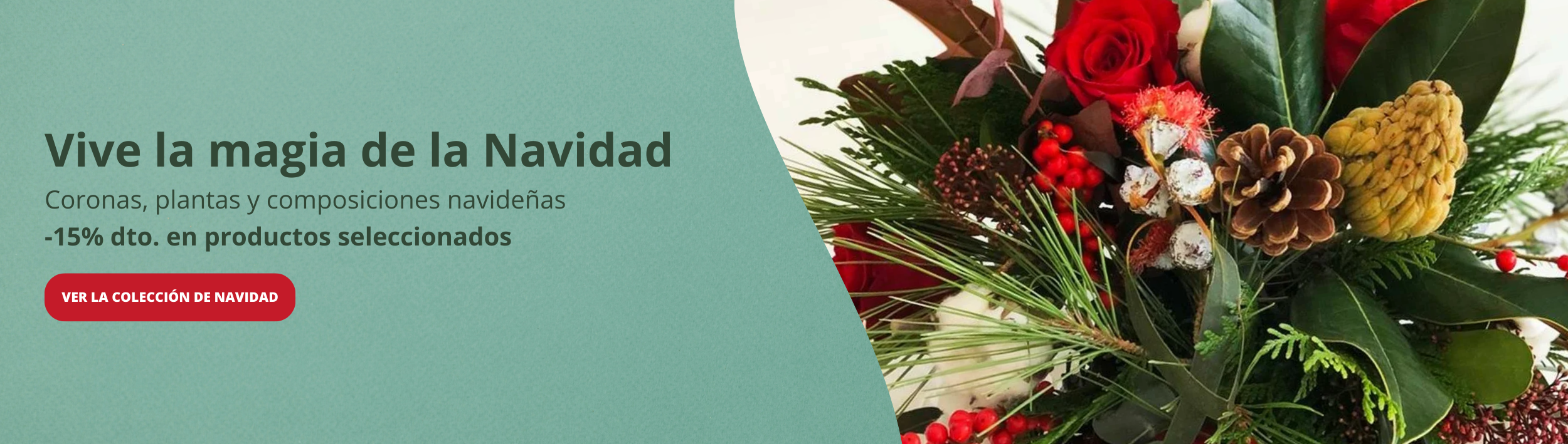Enviar flores a domicilio - Flores y plantas de Naviad