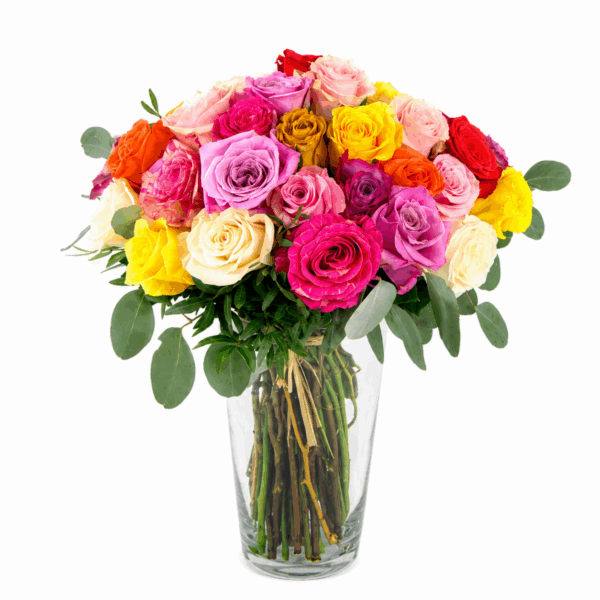 Ramo de rosas multicolor con rosas frescas. Envío a domicilio de ramos de rosas naturales.